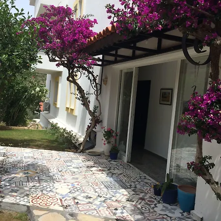 Hotel Tokur 3*
