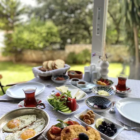 Tokur 3*