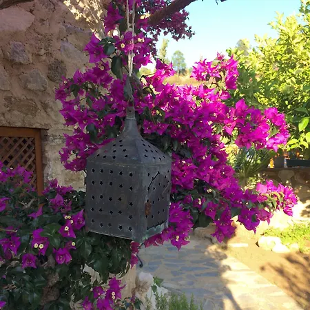 Hotel Tokur Datça