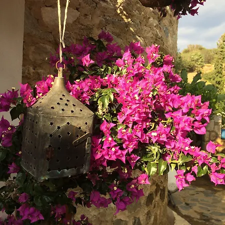 Hotel Tokur Datça